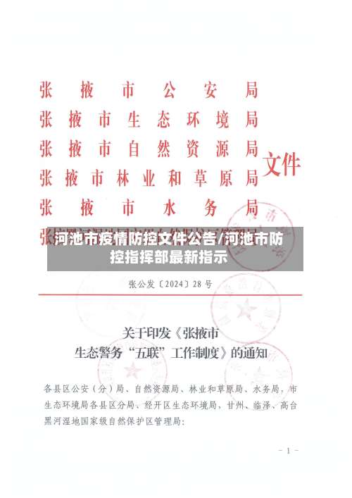 河池市疫情防控文件公告/河池市防控指挥部最新指示-第2张图片