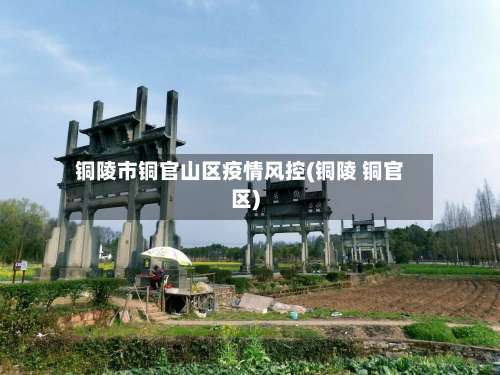 铜陵市铜官山区疫情风控(铜陵 铜官区)-第1张图片