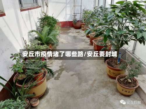 安丘市疫情堵了哪些路/安丘要封城-第3张图片