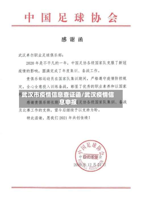 武汉市疫情信息查证函/武汉疫情信息申报-第2张图片