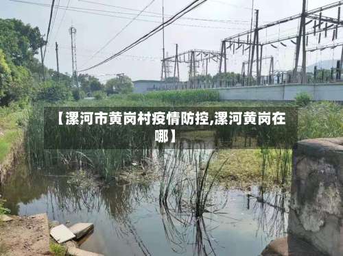 【漯河市黄岗村疫情防控,漯河黄岗在哪】-第2张图片