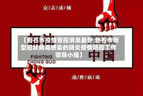 【磐石市疫情管控消息最新,磐石市新型冠状病毒感染的肺炎疫情防控工作领导小组】-第2张图片