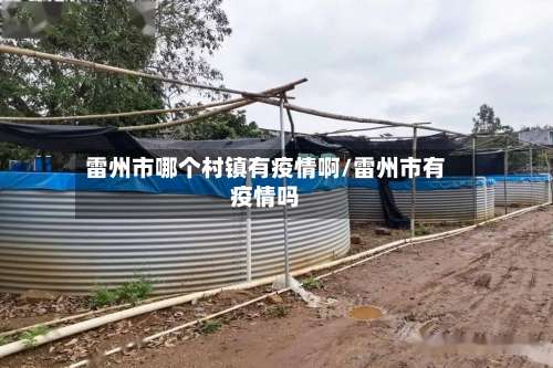 雷州市哪个村镇有疫情啊/雷州市有疫情吗-第3张图片