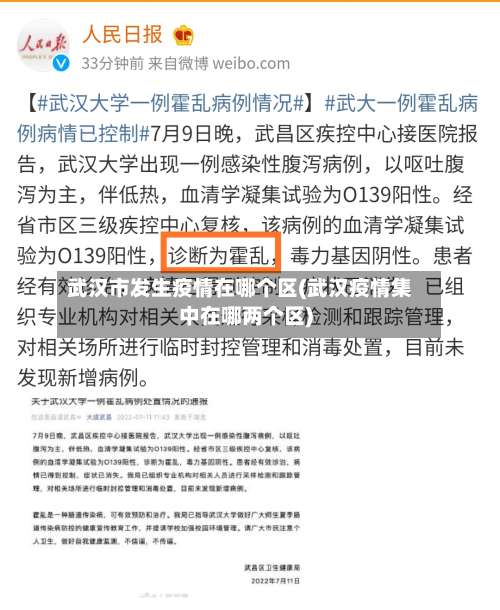 武汉市发生疫情在哪个区(武汉疫情集中在哪两个区)-第1张图片