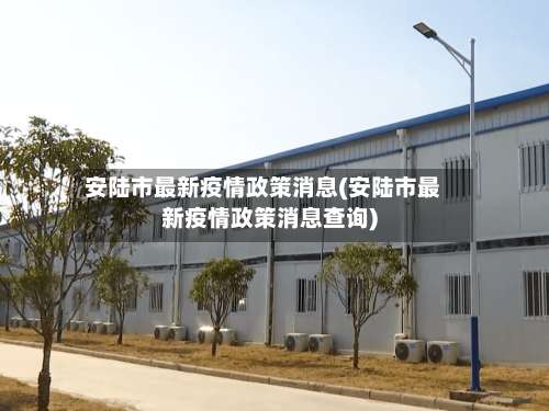 安陆市最新疫情政策消息(安陆市最新疫情政策消息查询)-第1张图片