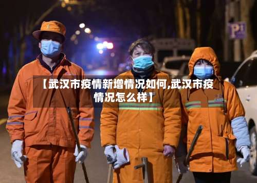 【武汉市疫情新增情况如何,武汉市疫情况怎么样】-第3张图片