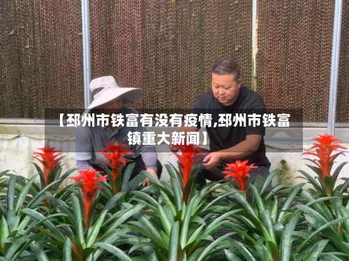 【邳州市铁富有没有疫情,邳州市铁富镇重大新闻】-第3张图片