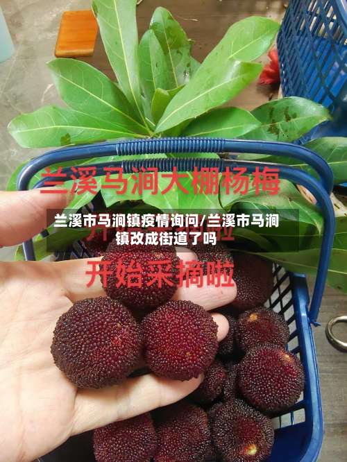 兰溪市马涧镇疫情询问/兰溪市马涧镇改成街道了吗-第3张图片