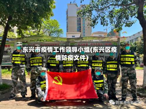 东兴市疫情工作领导小组(东兴区疫情防疫文件)-第2张图片