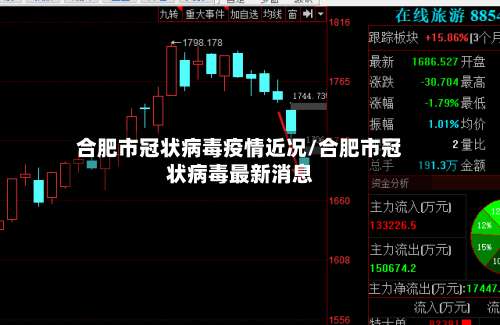 合肥市冠状病毒疫情近况/合肥市冠状病毒最新消息-第3张图片