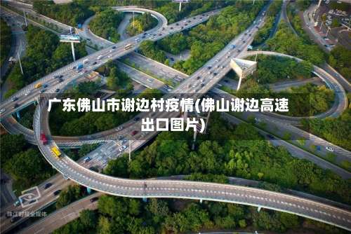 广东佛山市谢边村疫情(佛山谢边高速出口图片)-第1张图片