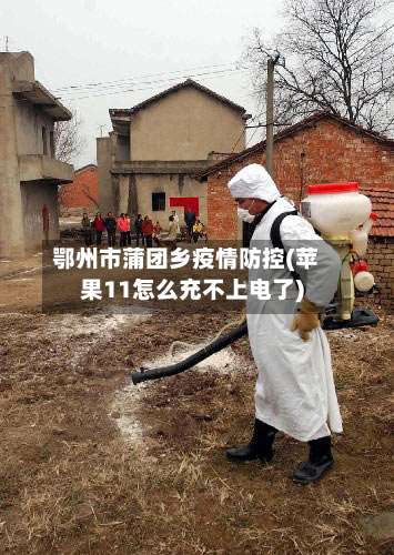 鄂州市蒲团乡疫情防控(苹果11怎么充不上电了)-第3张图片