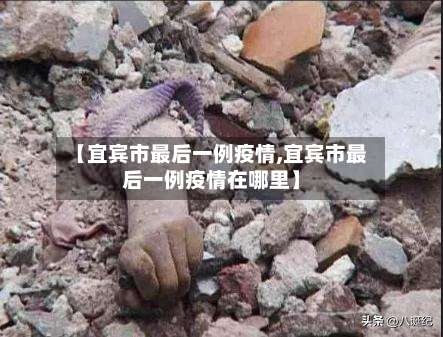 【宜宾市最后一例疫情,宜宾市最后一例疫情在哪里】-第1张图片