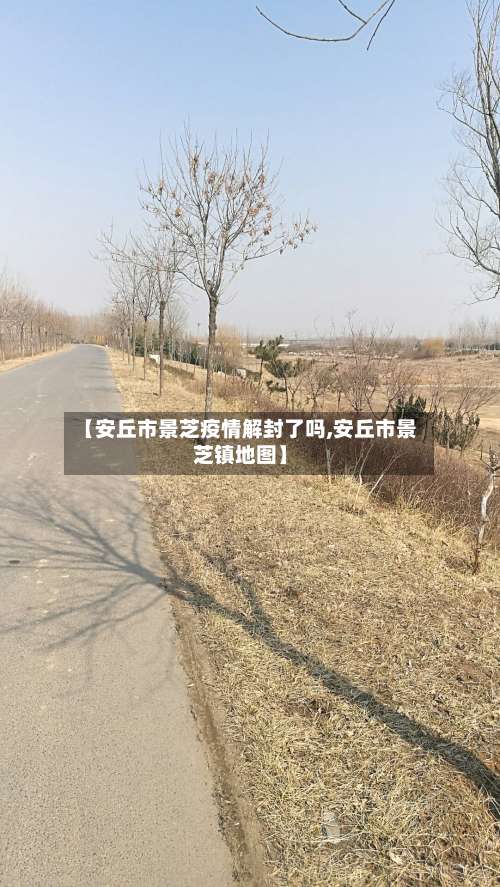 【安丘市景芝疫情解封了吗,安丘市景芝镇地图】-第2张图片