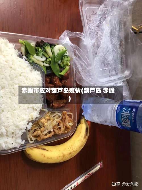 赤峰市应对葫芦岛疫情(葫芦岛 赤峰)-第3张图片