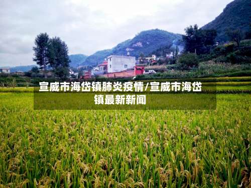 宣威市海岱镇肺炎疫情/宣威市海岱镇最新新闻-第1张图片