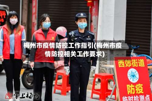 梅州市疫情防控工作指引(梅州市疫情防控相关工作要求)-第2张图片