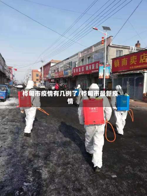 桦甸市疫情有几例了/桦甸市最新疫情-第3张图片