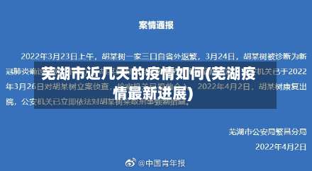 芜湖市近几天的疫情如何(芜湖疫情最新进展)-第2张图片