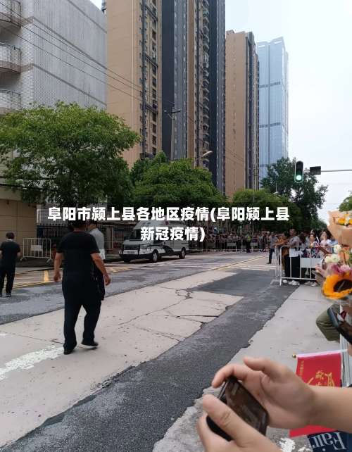 阜阳市颍上县各地区疫情(阜阳颍上县新冠疫情)-第2张图片