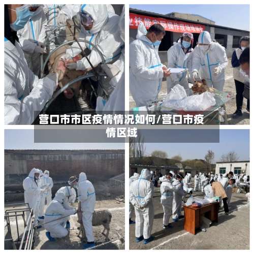 营口市市区疫情情况如何/营口市疫情区域-第2张图片