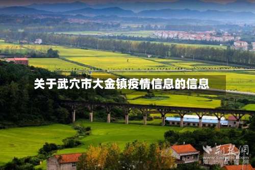 关于武穴市大金镇疫情信息的信息-第3张图片