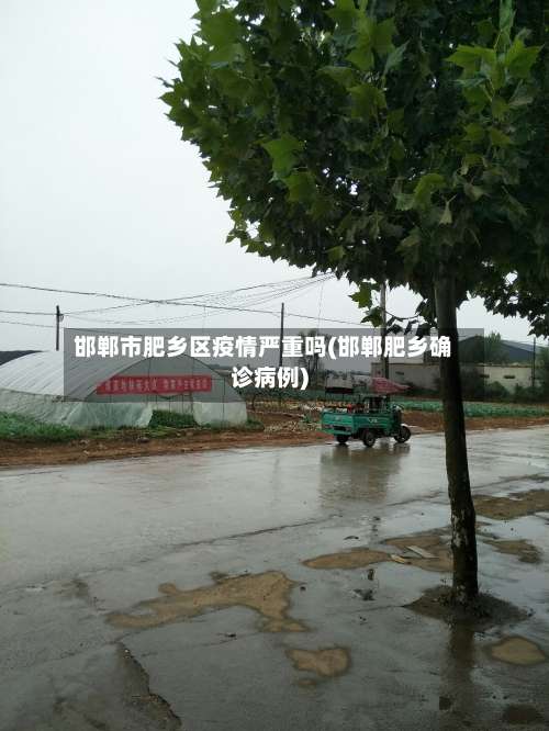 邯郸市肥乡区疫情严重吗(邯郸肥乡确诊病例)-第1张图片