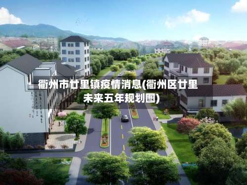 衢州市廿里镇疫情消息(衢州区廿里未来五年规划图)-第1张图片