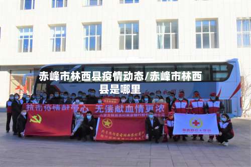 赤峰市林西县疫情动态/赤峰市林西县是哪里-第2张图片